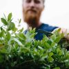 Garden Niwaki | Tobisho Barracuda Clippers