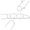 Garden Niwaki | Niwaki Moku Pruning Saw240Mm