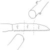 Garden Niwaki | Niwaki Gr 210 Folding Saw